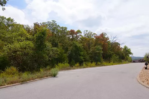 tbd Vining Meadows Dr, Branson West, MO 65737 photo 10