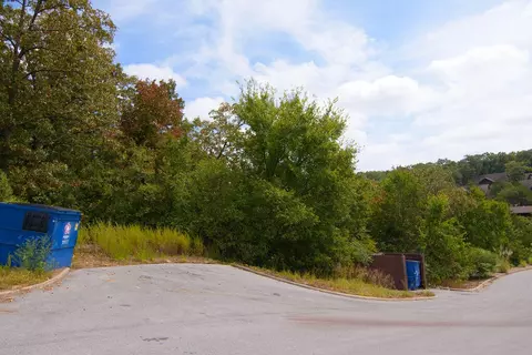 tbd Vining Meadows Dr, Branson West, MO 65737 photo 7