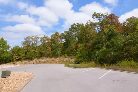 tbd Vining Meadows Dr, Branson West, MO 65737 photo 13