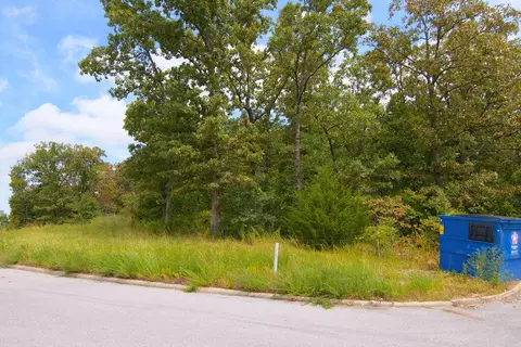 tbd Vining Meadows Dr, Branson West, MO 65737 photo 8