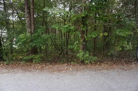 lot42 Cannon Ball Loop, Branson, MO 65616