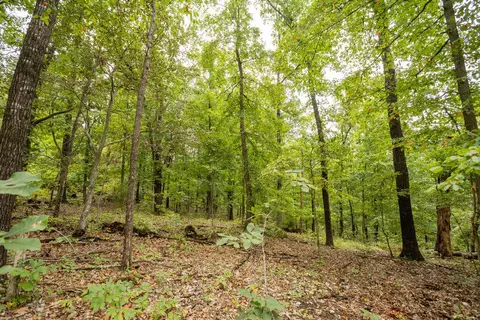 000 Cowan Ridge Rd, Powell, MO 65730 photo 13