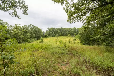 000 Cowan Ridge Rd, Powell, MO 65730 photo 10