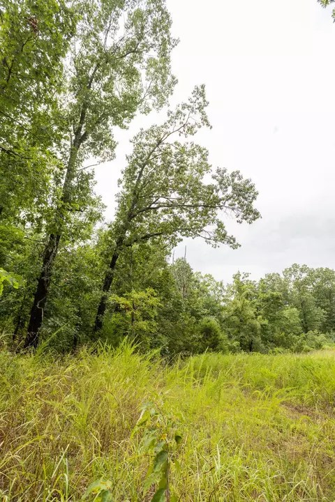 000 Cowan Ridge Rd, Powell, MO 65730 photo 9
