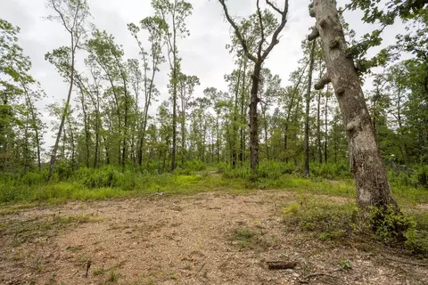 000 Cowan Ridge Rd, Powell, MO 65730 photo 11