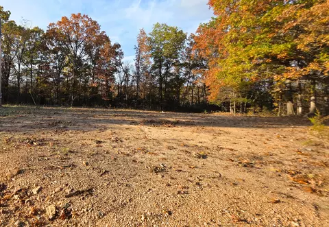 000 County Road 604, Gainesville, MO 65655 photo 6