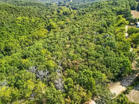 000 County Road 604, Gainesville, MO 65655 photo 13