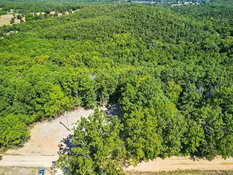 000 County Road 604, Gainesville, MO 65655 photo 12