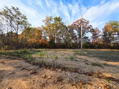 000 County Road 604, Gainesville, MO 65655 photo 5