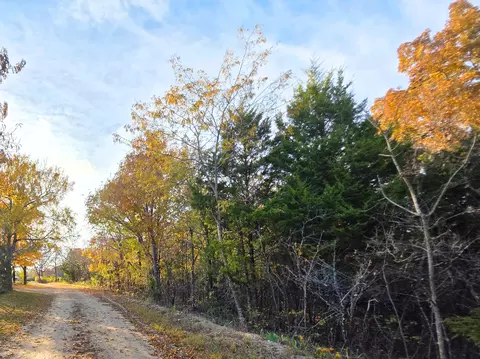 000 County Road 604, Gainesville, MO 65655 photo 16
