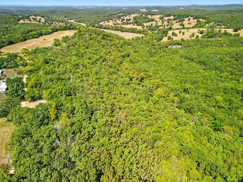 000 County Road 604, Gainesville, MO 65655 photo 11