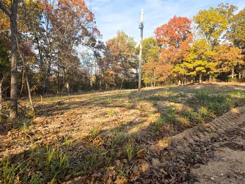 000 County Road 604, Gainesville, MO 65655 photo 15