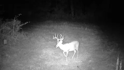 000 County Road 625, Birch Tree, MO 65438 photo 23