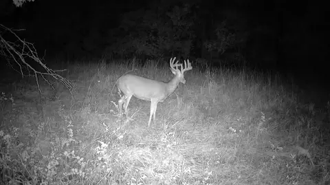 000 County Road 625, Birch Tree, MO 65438 photo 15