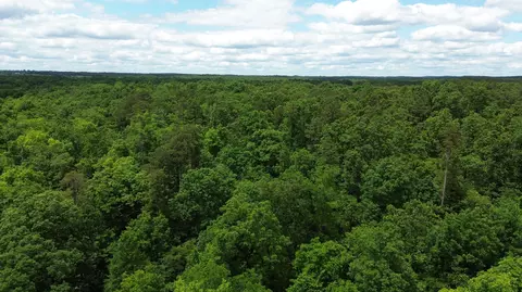 000 County Road 625, Birch Tree, MO 65438 photo 40