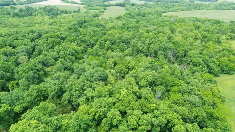 000 County Road 625, Birch Tree, MO 65438 photo 16