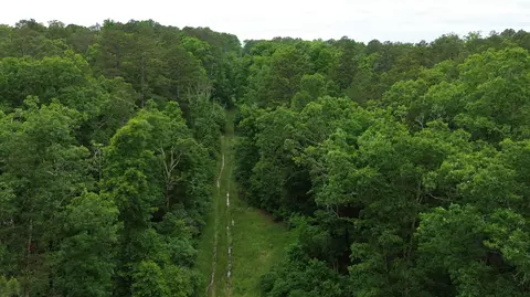 000 County Road 625, Birch Tree, MO 65438 photo 12