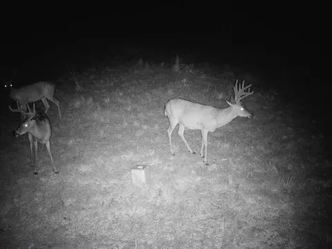 000 County Road 625, Birch Tree, MO 65438 photo 27