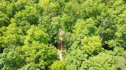 000 County Road 625, Birch Tree, MO 65438 photo 6