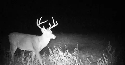 000 County Road 625, Birch Tree, MO 65438 photo 9