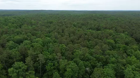 000 County Road 625, Birch Tree, MO 65438 photo 26