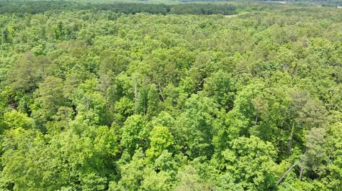 000 County Road 625, Birch Tree, MO 65438 photo 38
