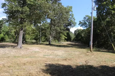 88 Chestnut Ln, Tecumseh, MO 65760 photo 2