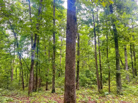000 Y-617, Birch Tree, MO 65438 photo 6