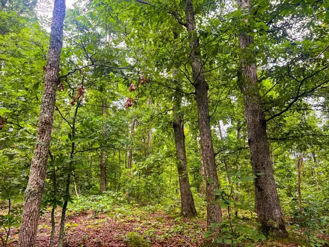000 Y-617, Birch Tree, MO 65438 photo 10