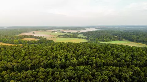 000 Y-617, Birch Tree, MO 65438 photo 15