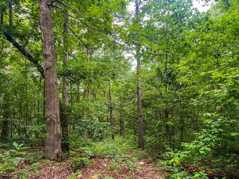 000 Y-617, Birch Tree, MO 65438 photo 14