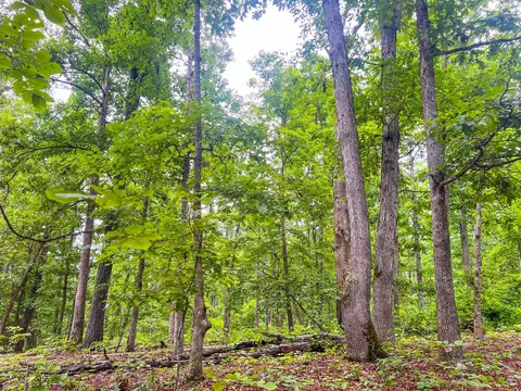 000 Y-617, Birch Tree, MO 65438 photo 12