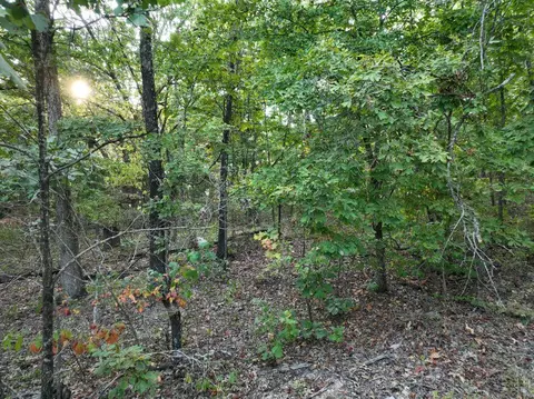 000 State Highway Ak, Ava, MO 65608 photo 6