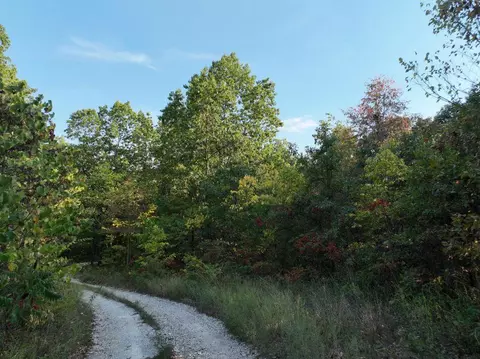 000 State Highway Ak, Ava, MO 65608 photo 4