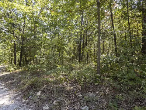 000 State Highway Ak, Ava, MO 65608 photo 5