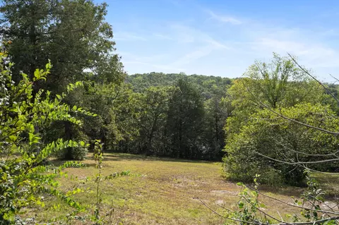 tbd Cedar Reef, Lampe, MO 65681 photo 4