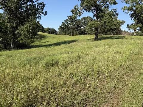 1006 Skaggs Hollow Rd, Pineville, MO 64856