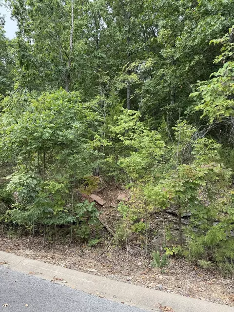 tbd Skyline Dr, Hollister, MO 65672