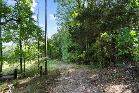 3839 State Highway 265, Branson, MO 65616 photo 9