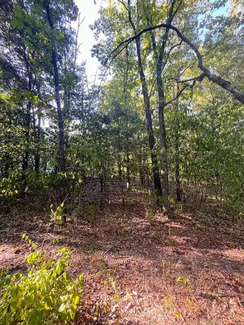 000 Hickory Ave, Merriam Woods, MO 65740