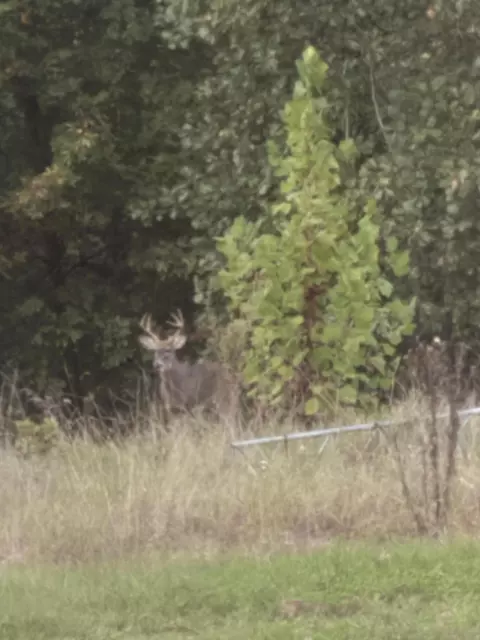 11 Wilderness Trl, Tunas, MO 65764