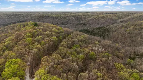 1229 Center Rd, Ozark, MO 65721 photo 10