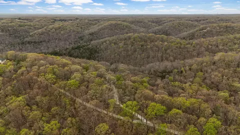 1229 Center Rd, Ozark, MO 65721 photo 11
