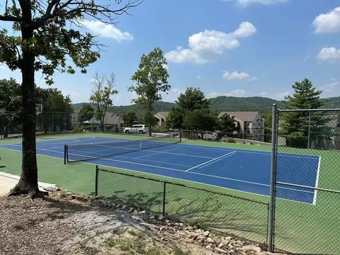 Other - 38 Lantern Bay Ln #1, Branson, MO 65616 photo 5 of 6