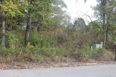 415 Silverwood Cir, Branson West, MO 65737