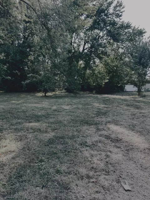 502 W Kearney St, Springfield, MO 65803 photo 2