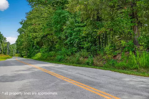 tbd Buttermilk Spring Rd, Galena, MO 65656 photo 7