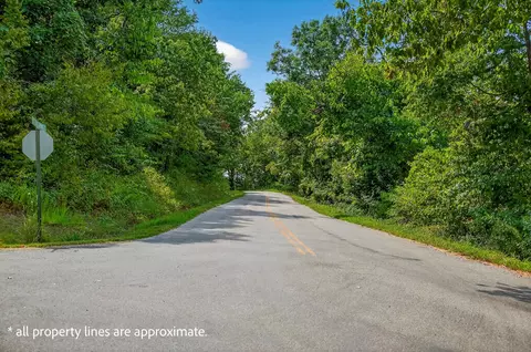 tbd Buttermilk Spring Rd, Galena, MO 65656 photo 6