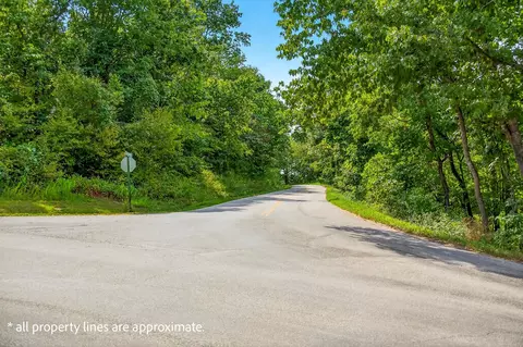 tbd Buttermilk Spring Rd, Galena, MO 65656 photo 5