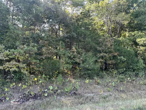 000 Highway 142 W, Thayer, MO 65791 photo 3